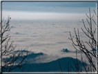 foto Colline Marosticane nella Nebbia